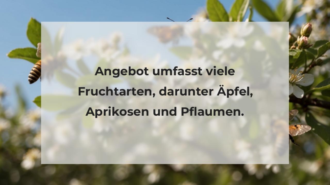 Angebot umfasst viele Fruchtarten, darunter Äpfel, Aprikosen und Pflaumen.