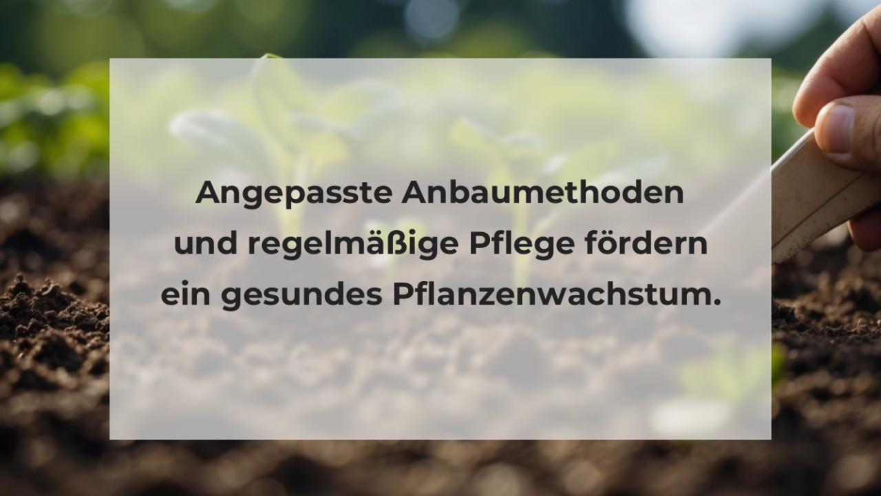 Angepasste Anbaumethoden und regelmäßige Pflege fördern ein gesundes Pflanzenwachstum.