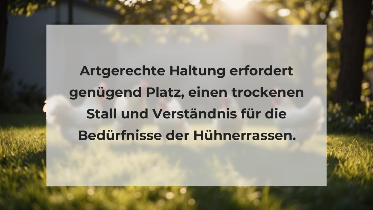 Artgerechte Haltung erfordert genügend Platz, einen trockenen Stall und Verständnis für die Bedürfnisse der Hühnerrassen.