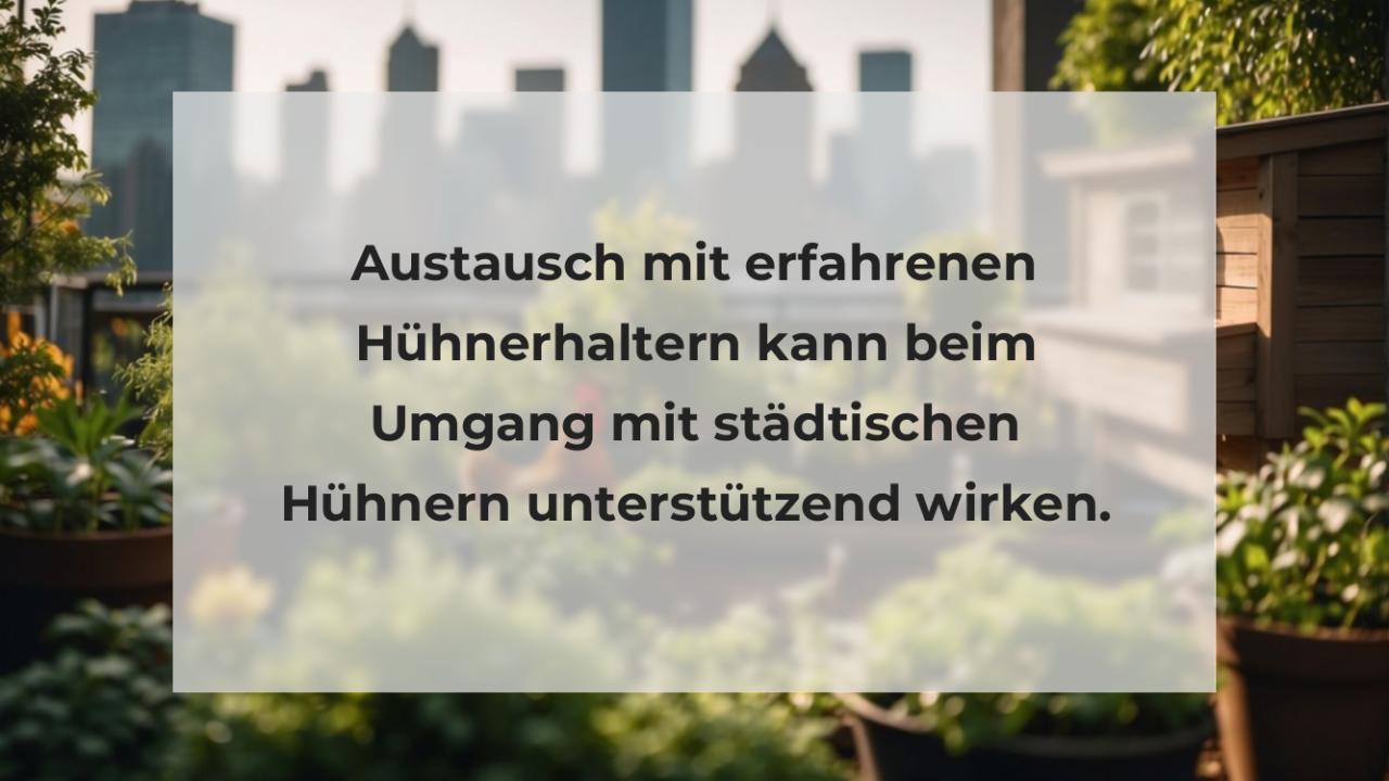 Austausch mit erfahrenen Hühnerhaltern kann beim Umgang mit städtischen Hühnern unterstützend wirken.