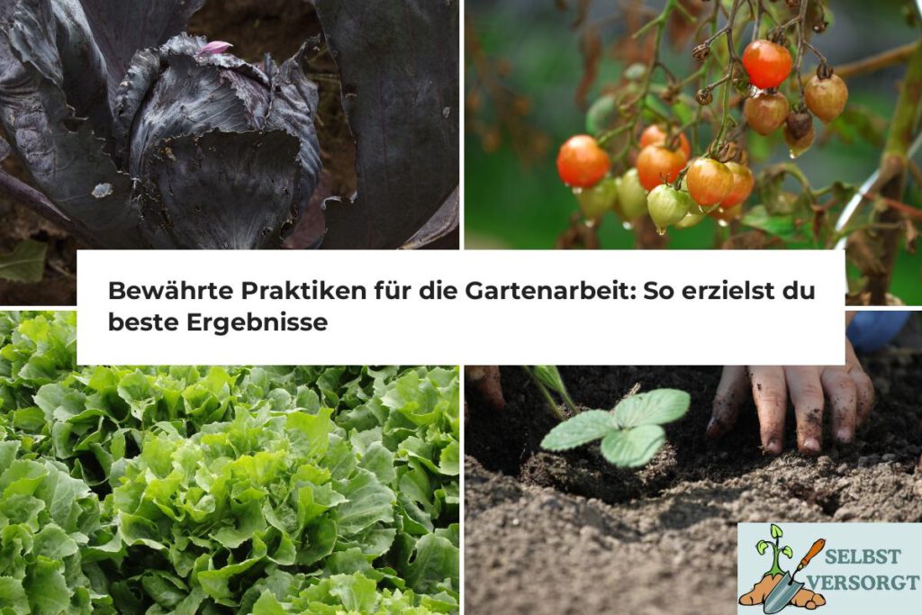 Bewährte Praktiken für die Gartenarbeit