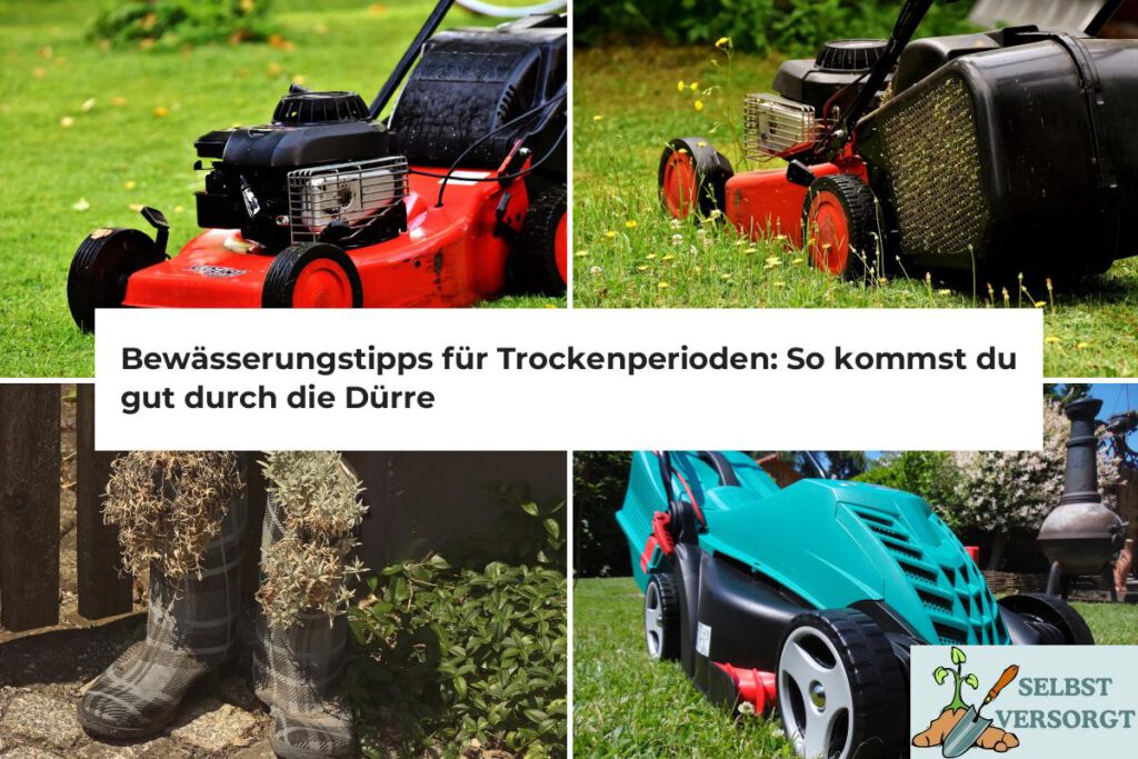 Bewässerungstipps für Trockenperioden