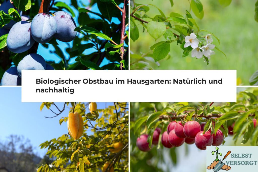 Biologischer Obstbau im Hausgarten