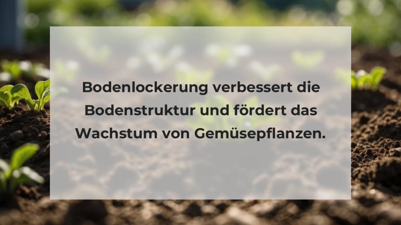 Bodenlockerung verbessert die Bodenstruktur und fördert das Wachstum von Gemüsepflanzen.