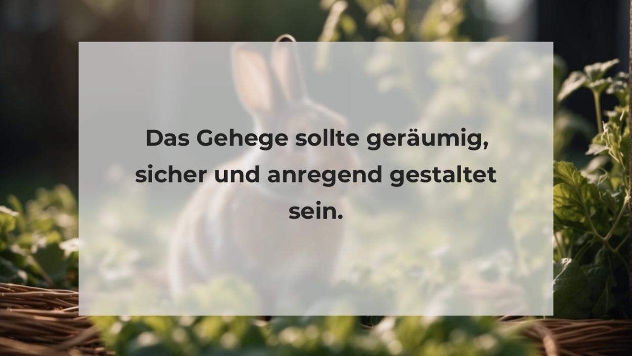 Das Gehege sollte geräumig, sicher und anregend gestaltet sein.