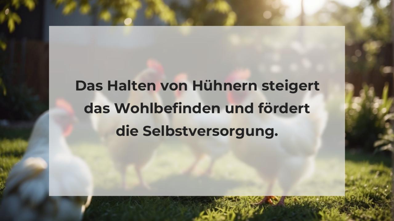 Das Halten von Hühnern steigert das Wohlbefinden und fördert die Selbstversorgung.