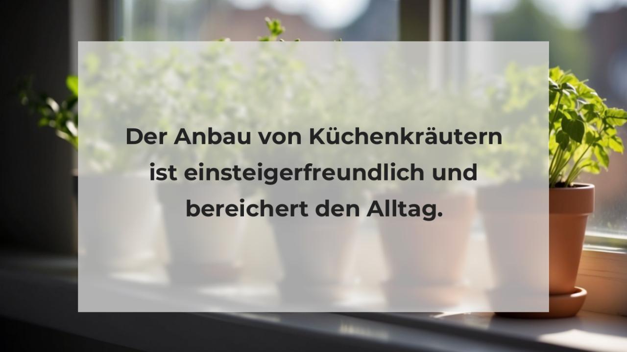 Der Anbau von Küchenkräutern ist einsteigerfreundlich und bereichert den Alltag.