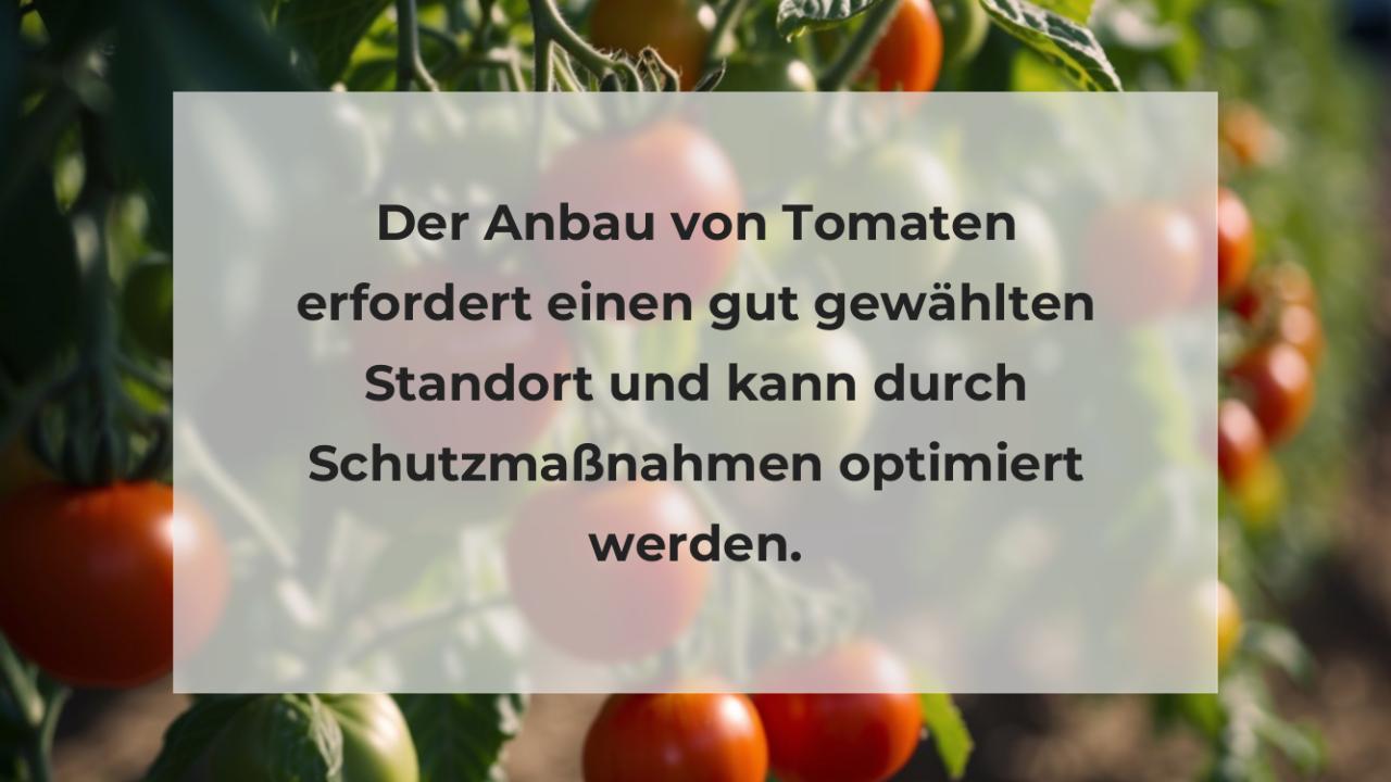 Der Anbau von Tomaten erfordert einen gut gewählten Standort und kann durch Schutzmaßnahmen optimiert werden.