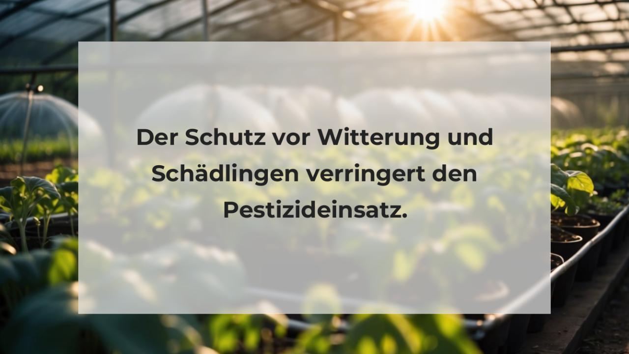 Der Schutz vor Witterung und Schädlingen verringert den Pestizideinsatz.