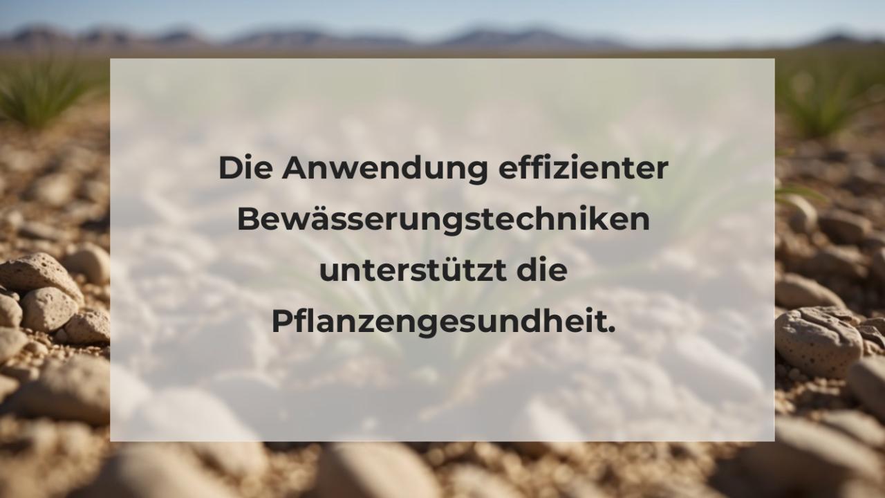 Die Anwendung effizienter Bewässerungstechniken unterstützt die Pflanzengesundheit.