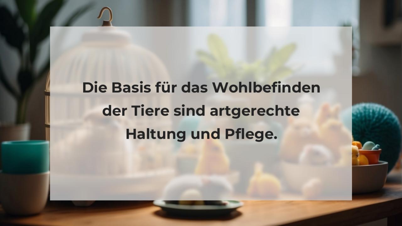 Die Basis für das Wohlbefinden der Tiere sind artgerechte Haltung und Pflege.