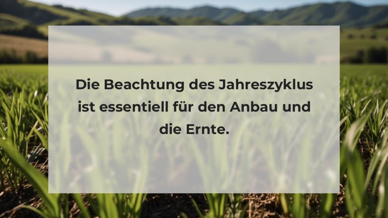 Die Beachtung des Jahreszyklus ist essentiell für den Anbau und die Ernte.