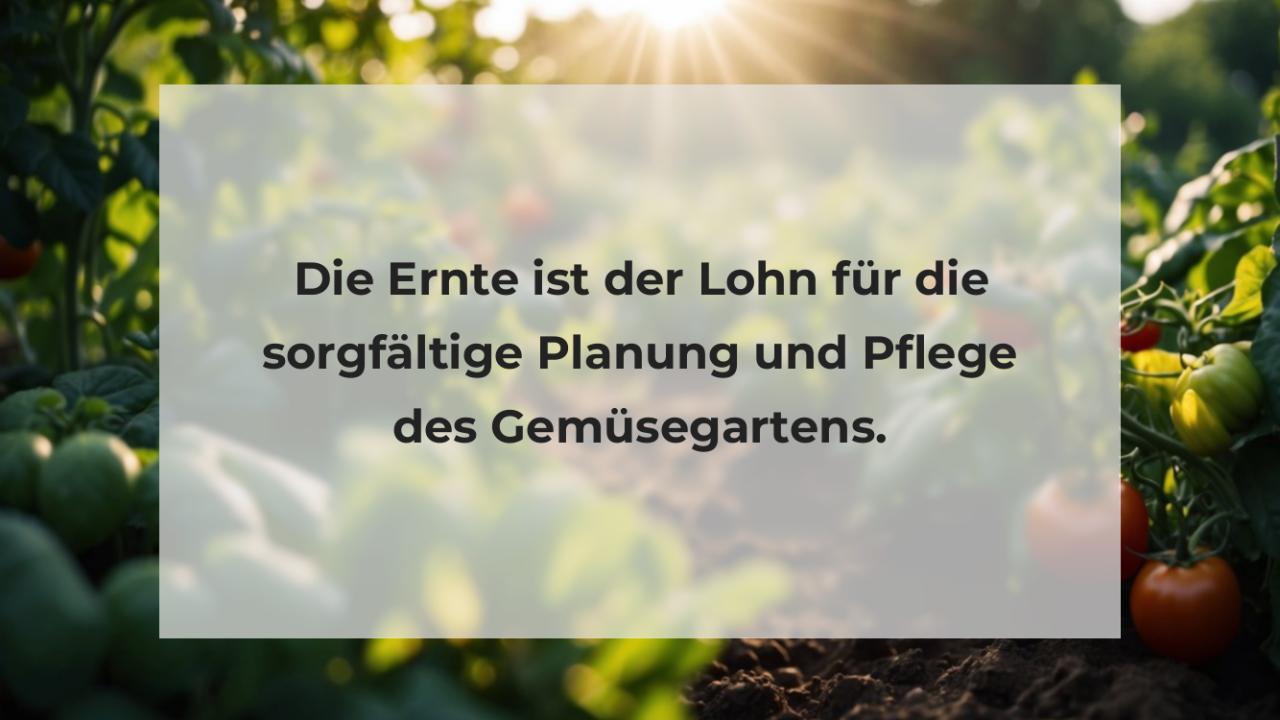 Die Ernte ist der Lohn für die sorgfältige Planung und Pflege des Gemüsegartens.