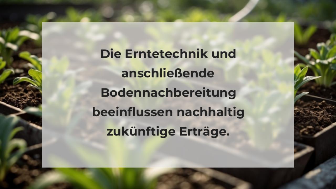 Die Erntetechnik und anschließende Bodennachbereitung beeinflussen nachhaltig zukünftige Erträge.