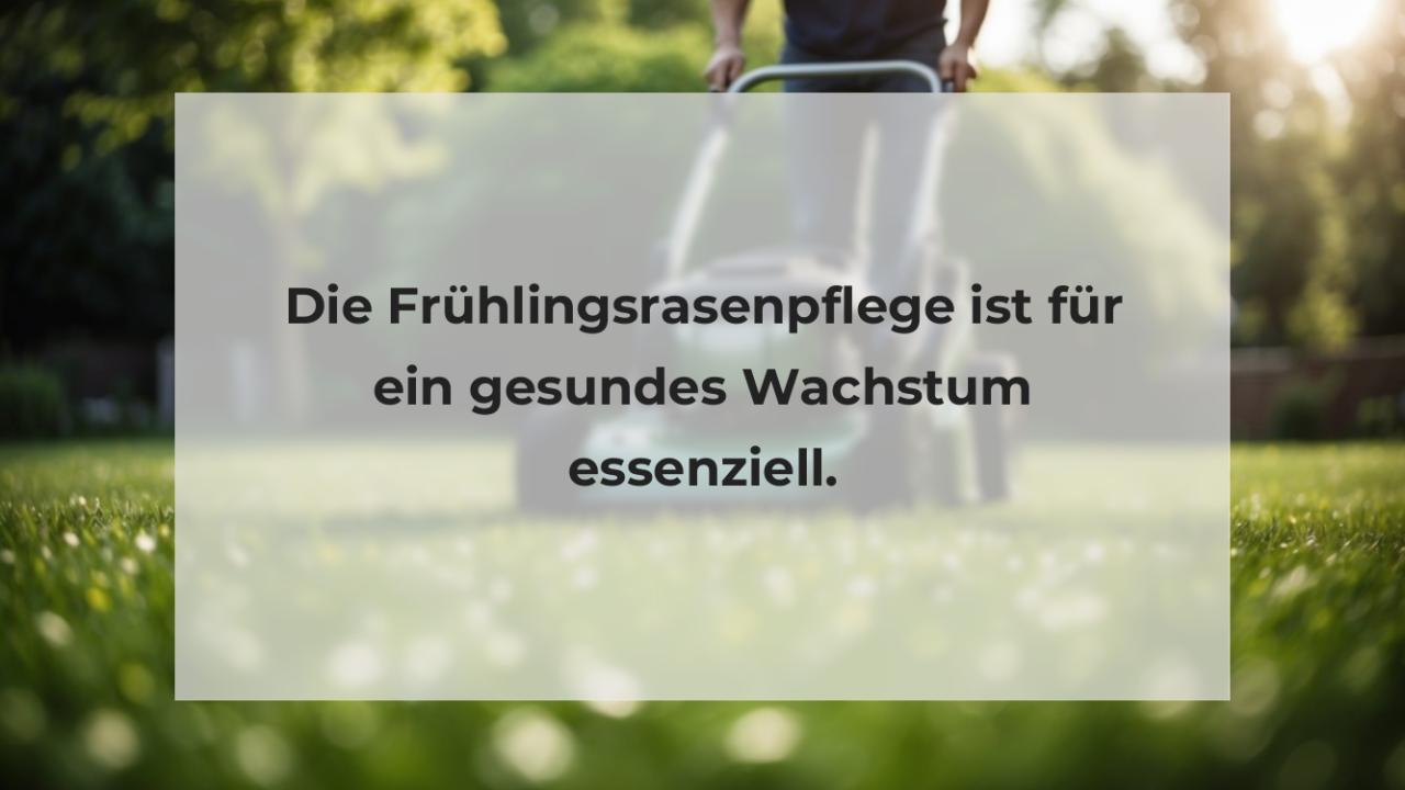 Die Frühlingsrasenpflege ist für ein gesundes Wachstum essenziell.