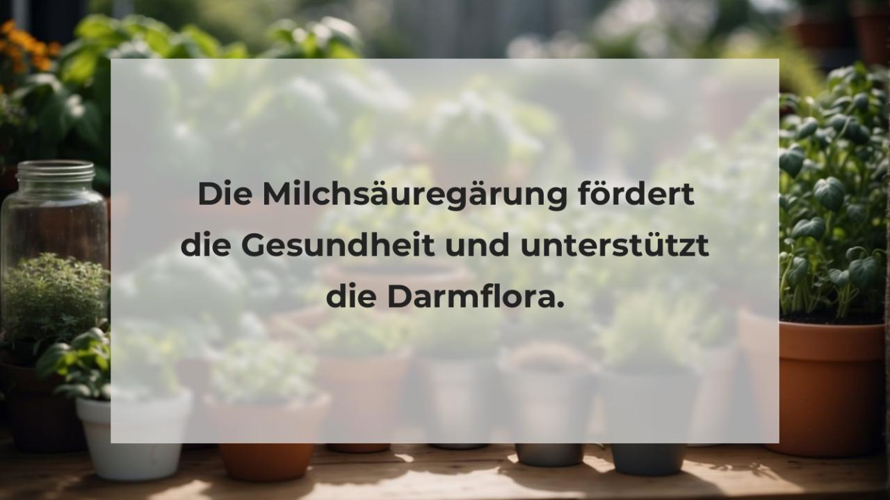 Die Milchsäuregärung fördert die Gesundheit und unterstützt die Darmflora.