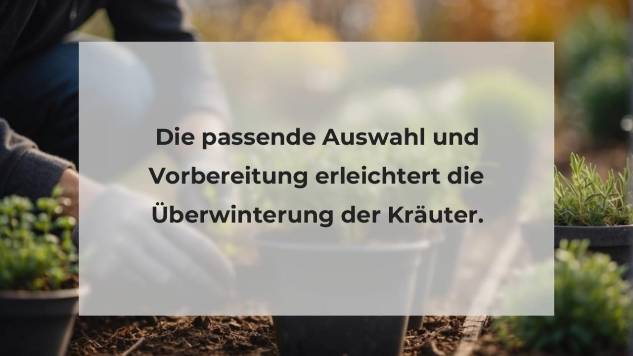 Die passende Auswahl und Vorbereitung erleichtert die Überwinterung der Kräuter.