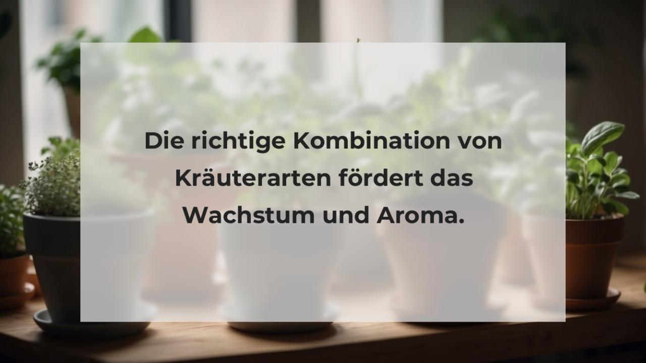 Die richtige Kombination von Kräuterarten fördert das Wachstum und Aroma.