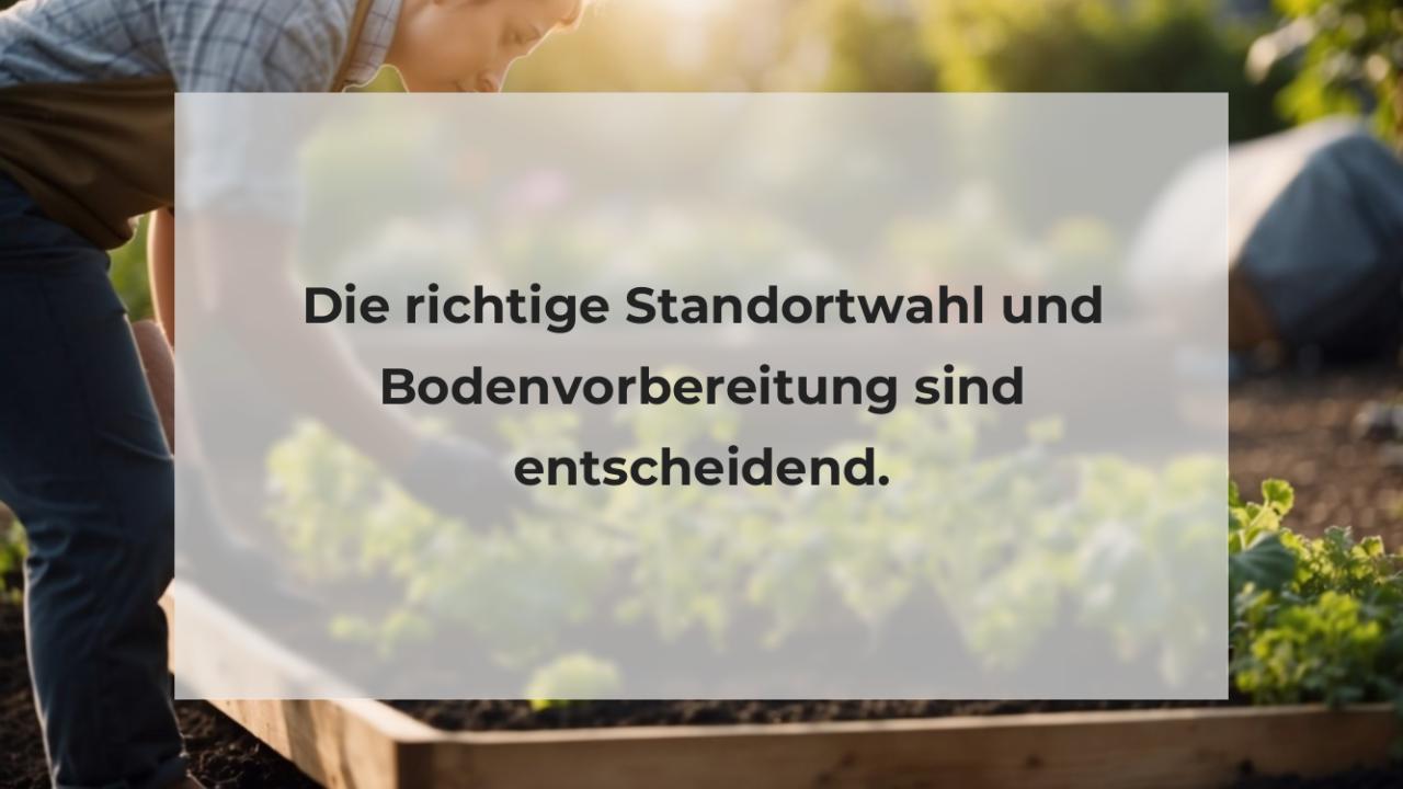 Die richtige Standortwahl und Bodenvorbereitung sind entscheidend.