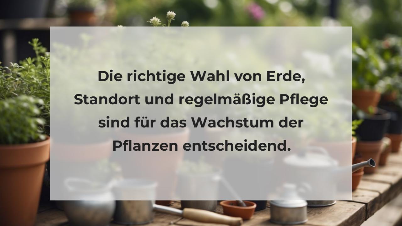 Die richtige Wahl von Erde, Standort und regelmäßige Pflege sind für das Wachstum der Pflanzen entscheidend.