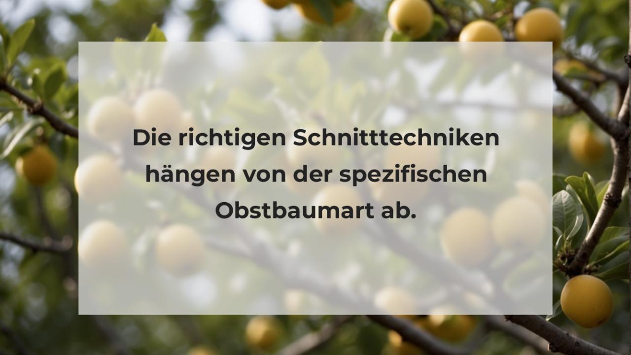 Die richtigen Schnitttechniken hängen von der spezifischen Obstbaumart ab.