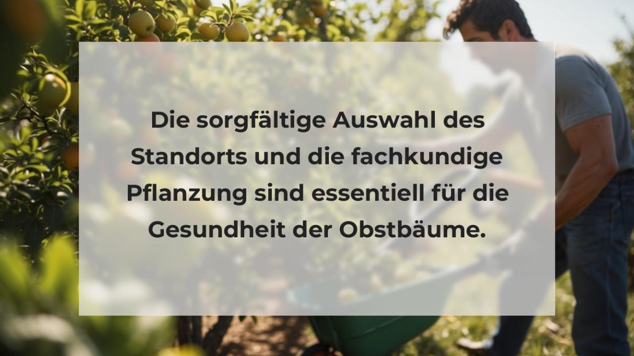 Die sorgfältige Auswahl des Standorts und die fachkundige Pflanzung sind essentiell für die Gesundheit der Obstbäume.