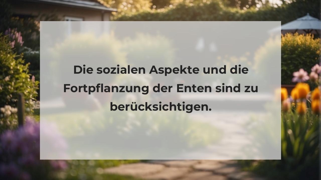 Die sozialen Aspekte und die Fortpflanzung der Enten sind zu berücksichtigen.