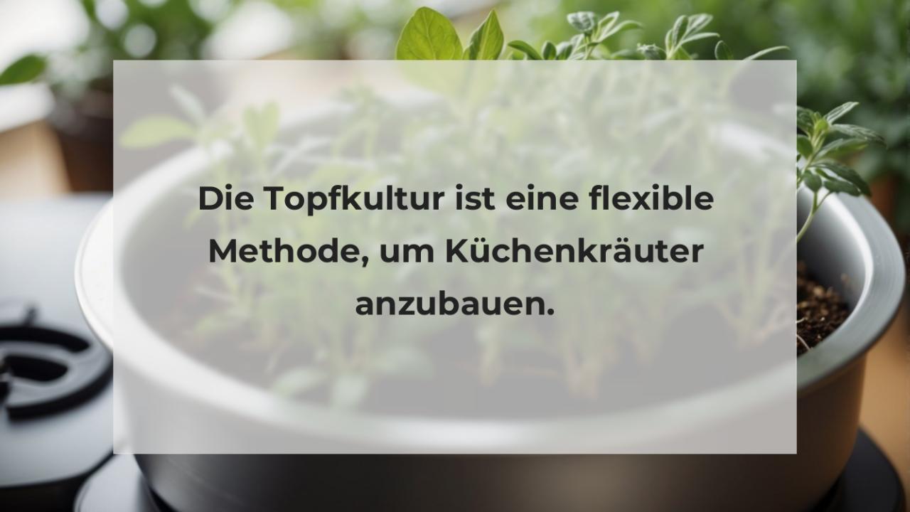 Die Topfkultur ist eine flexible Methode, um Küchenkräuter anzubauen.