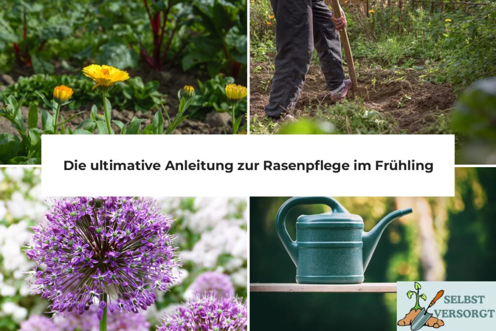 Rasenpflege im Frühling