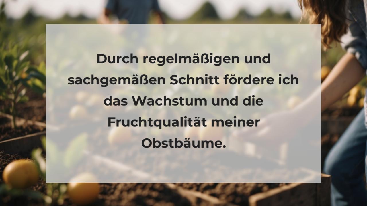 Durch regelmäßigen und sachgemäßen Schnitt fördere ich das Wachstum und die Fruchtqualität meiner Obstbäume.