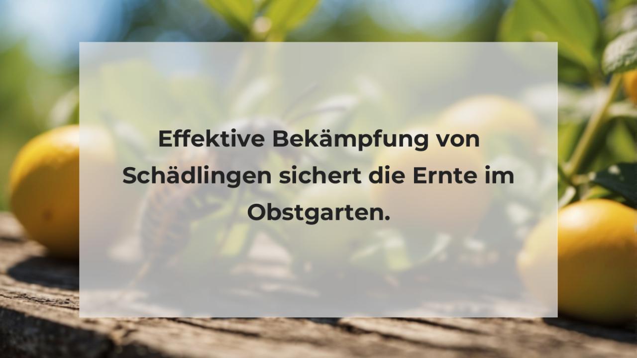 Effektive Bekämpfung von Schädlingen sichert die Ernte im Obstgarten.