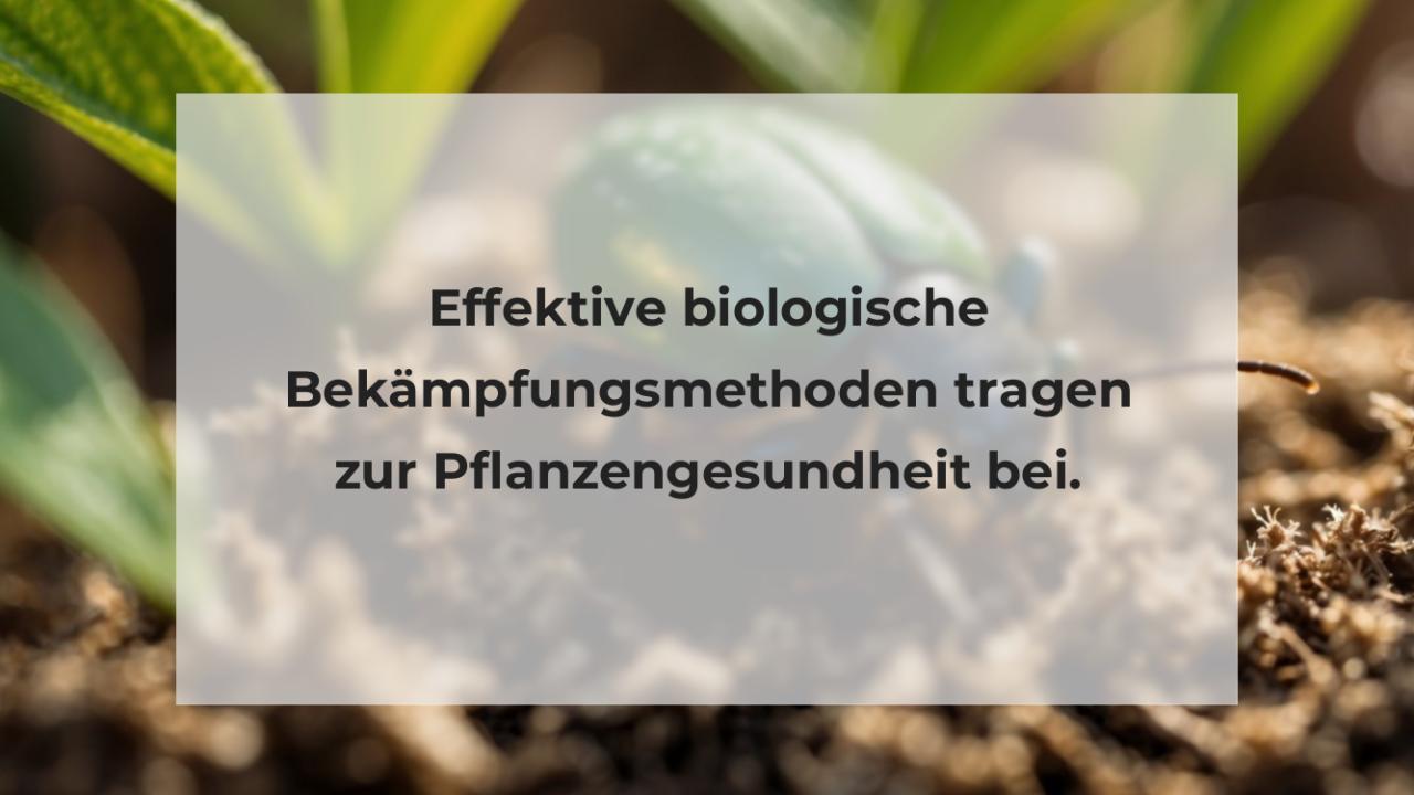 Effektive biologische Bekämpfungsmethoden tragen zur Pflanzengesundheit bei.