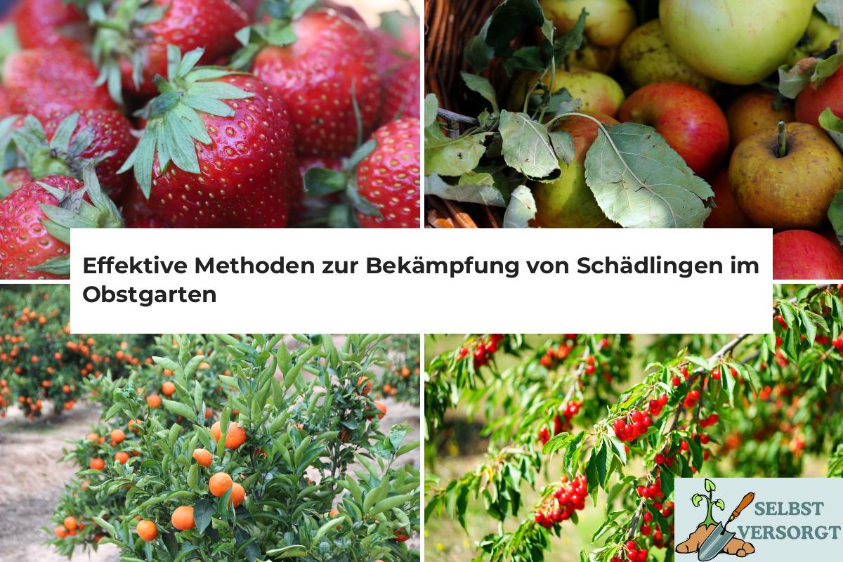 Effektive Methoden zur Bekämpfung von Schädlingen im Obstgarten
