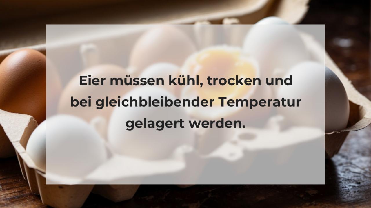 Eier müssen kühl, trocken und bei gleichbleibender Temperatur gelagert werden.