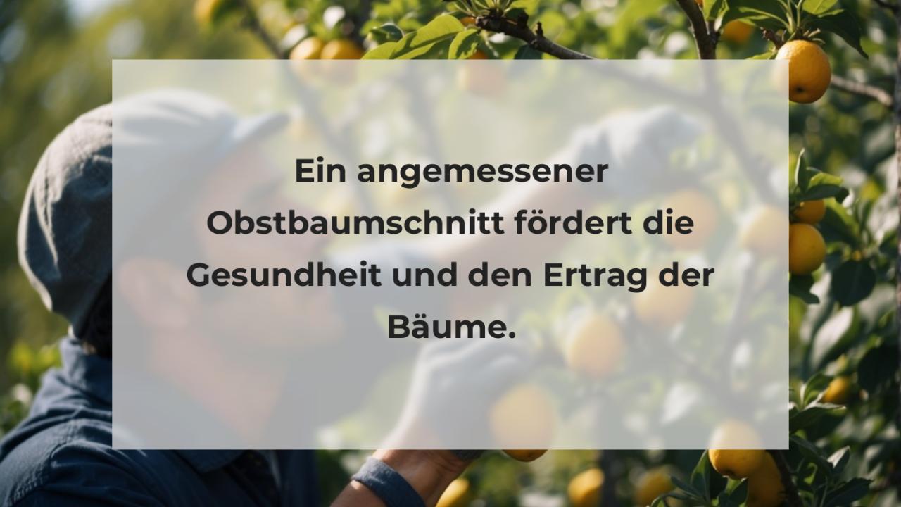 Ein angemessener Obstbaumschnitt fördert die Gesundheit und den Ertrag der Bäume.