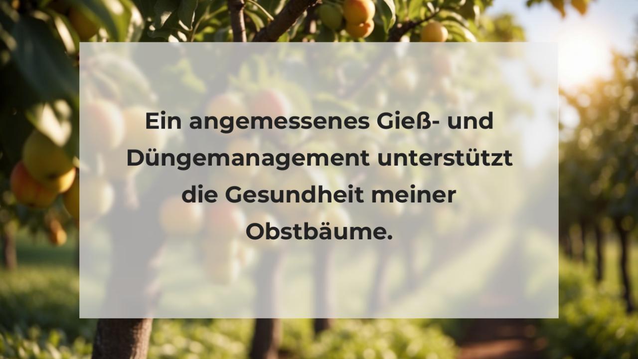 Ein angemessenes Gieß- und Düngemanagement unterstützt die Gesundheit meiner Obstbäume.