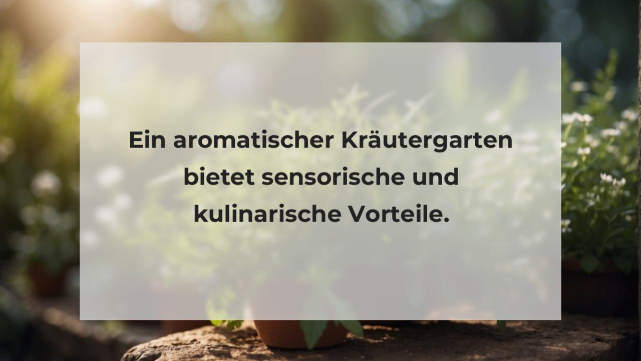 Ein aromatischer Kräutergarten bietet sensorische und kulinarische Vorteile.