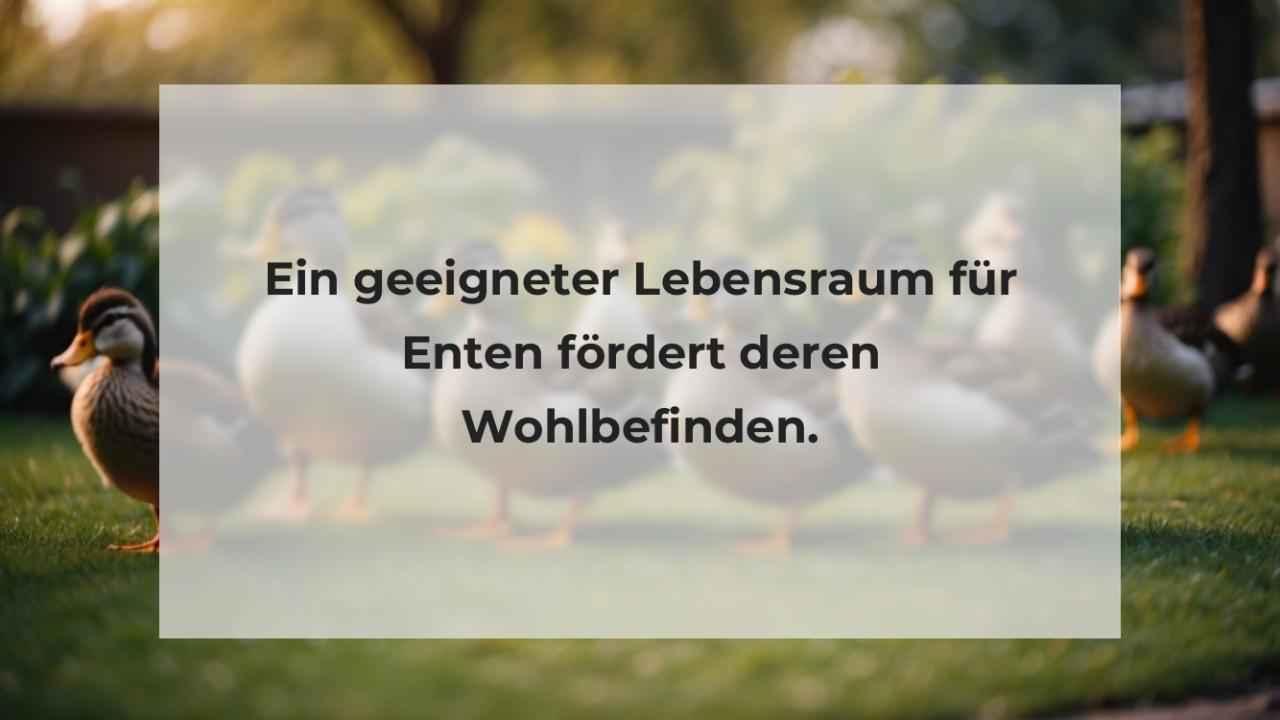 Ein geeigneter Lebensraum für Enten fördert deren Wohlbefinden.