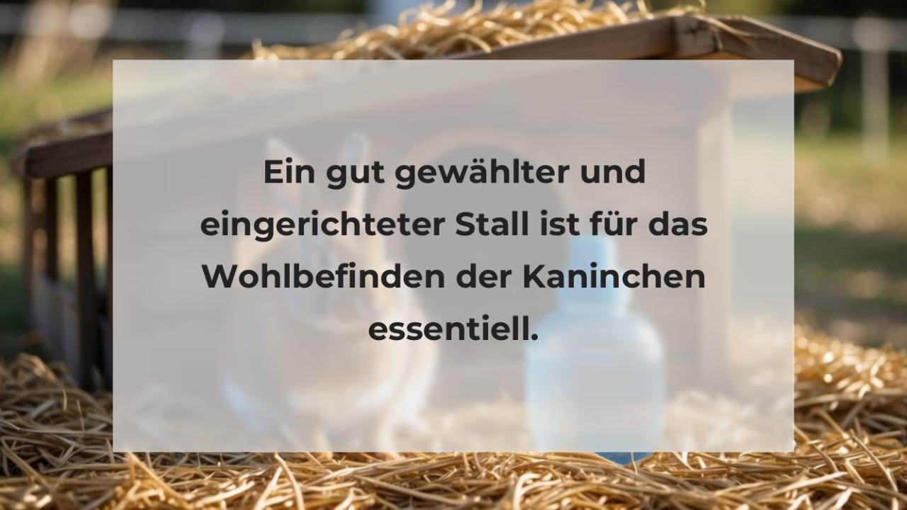 Ein gut gewählter und eingerichteter Stall ist für das Wohlbefinden der Kaninchen essentiell.