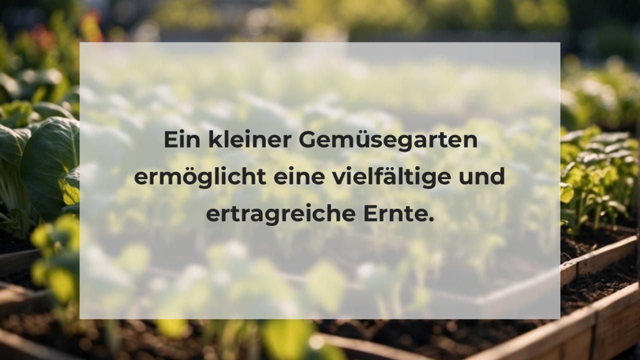 Ein kleiner Gemüsegarten ermöglicht eine vielfältige und ertragreiche Ernte.