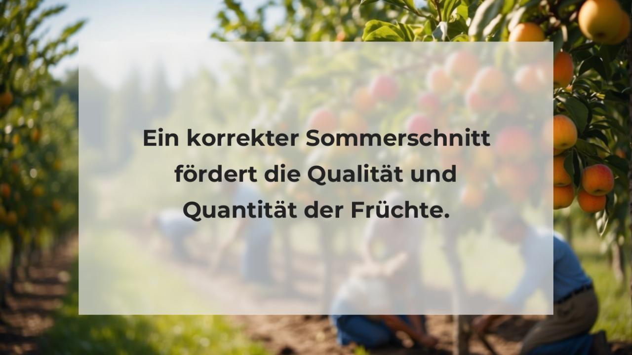 Ein korrekter Sommerschnitt fördert die Qualität und Quantität der Früchte.