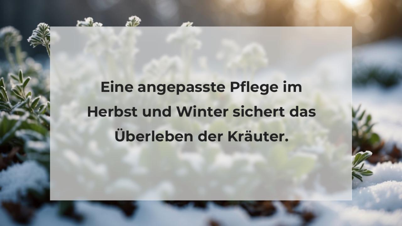 Eine angepasste Pflege im Herbst und Winter sichert das Überleben der Kräuter.