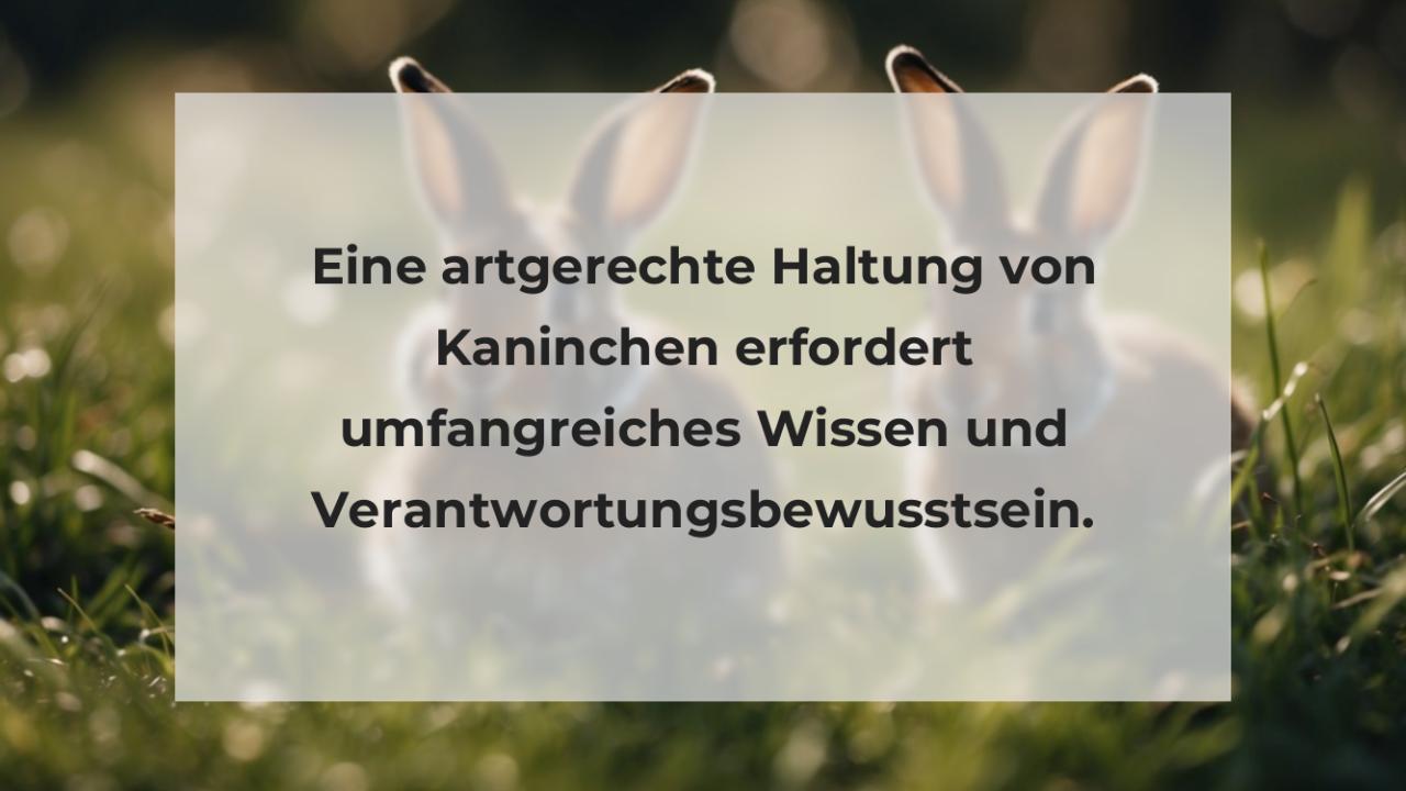 Eine artgerechte Haltung von Kaninchen erfordert umfangreiches Wissen und Verantwortungsbewusstsein.