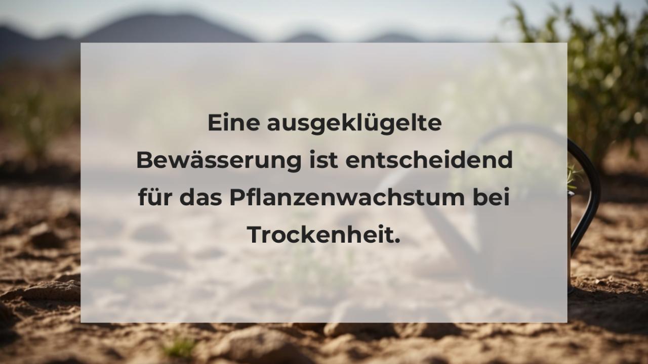 Eine ausgeklügelte Bewässerung ist entscheidend für das Pflanzenwachstum bei Trockenheit.