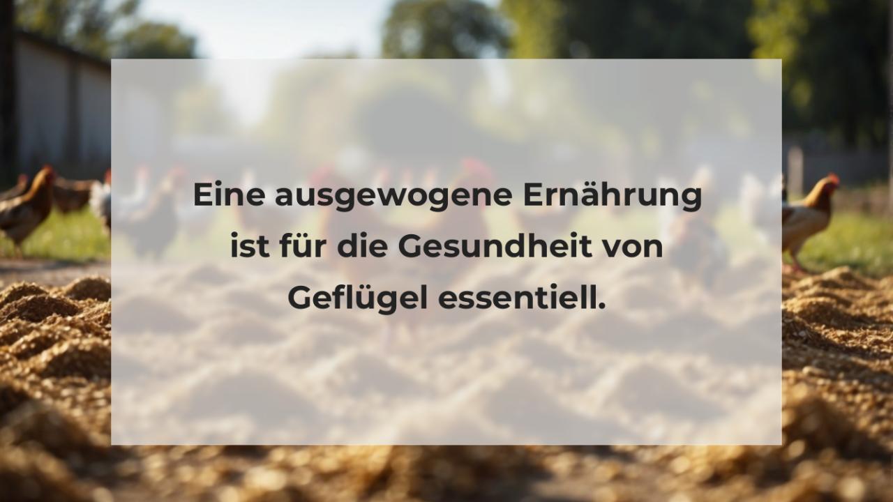 Eine ausgewogene Ernährung ist für die Gesundheit von Geflügel essentiell.