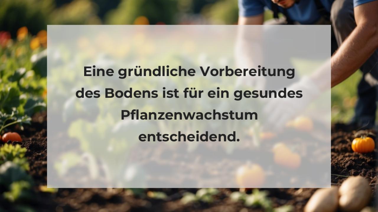 Eine gründliche Vorbereitung des Bodens ist für ein gesundes Pflanzenwachstum entscheidend.