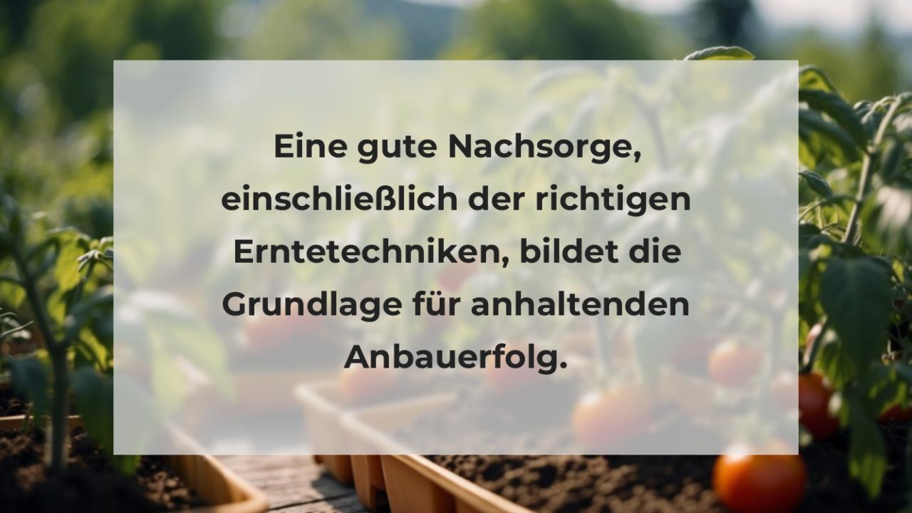 Eine gute Nachsorge, einschließlich der richtigen Erntetechniken, bildet die Grundlage für anhaltenden Anbauerfolg.