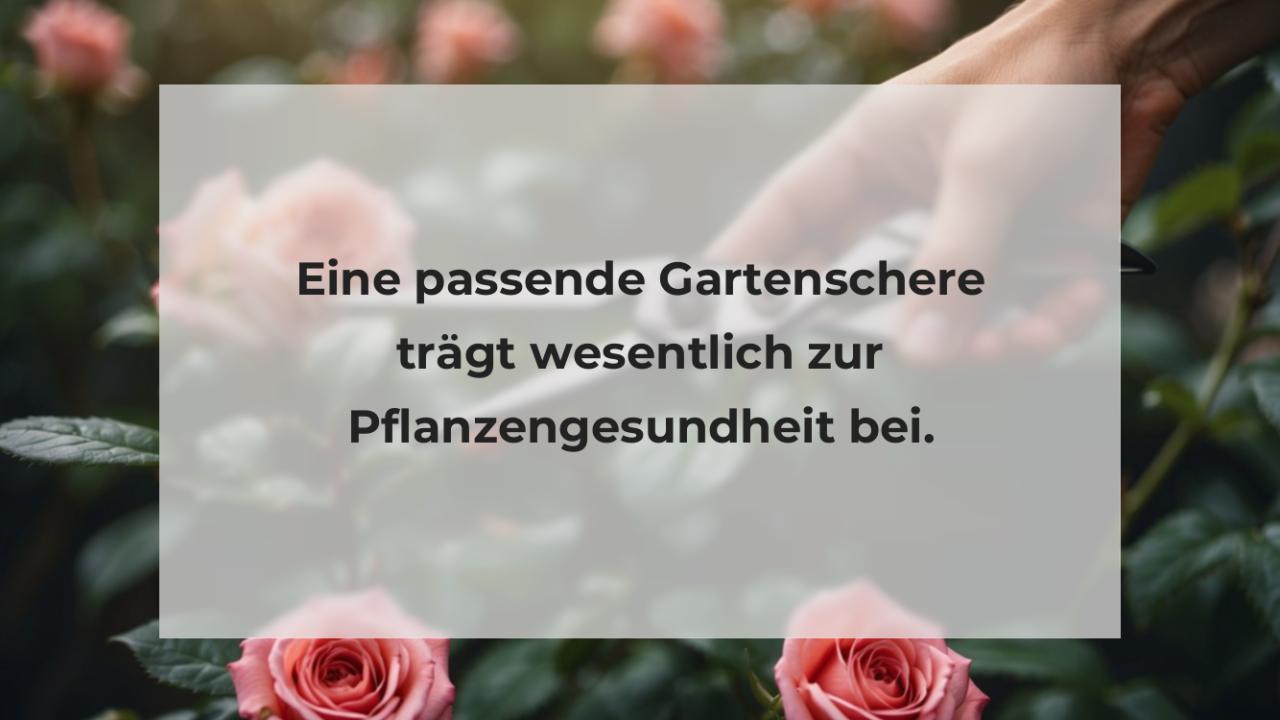 Eine passende Gartenschere trägt wesentlich zur Pflanzengesundheit bei.