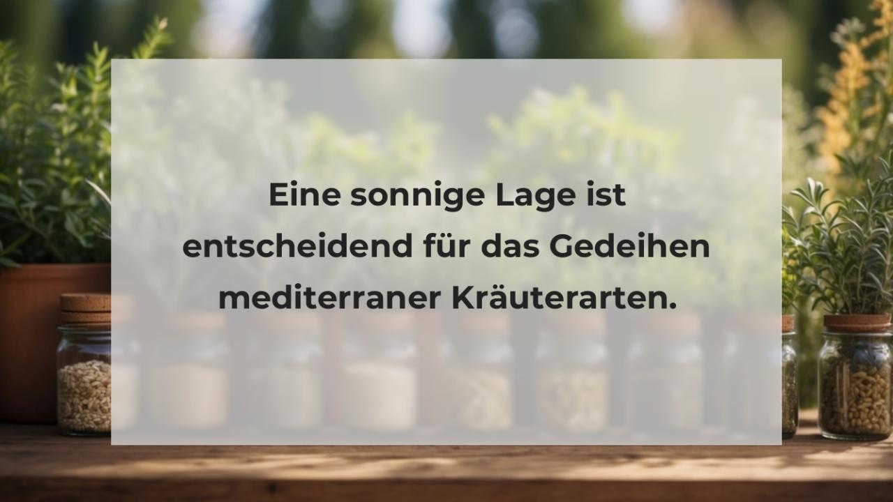 Eine sonnige Lage ist entscheidend für das Gedeihen mediterraner Kräuterarten.