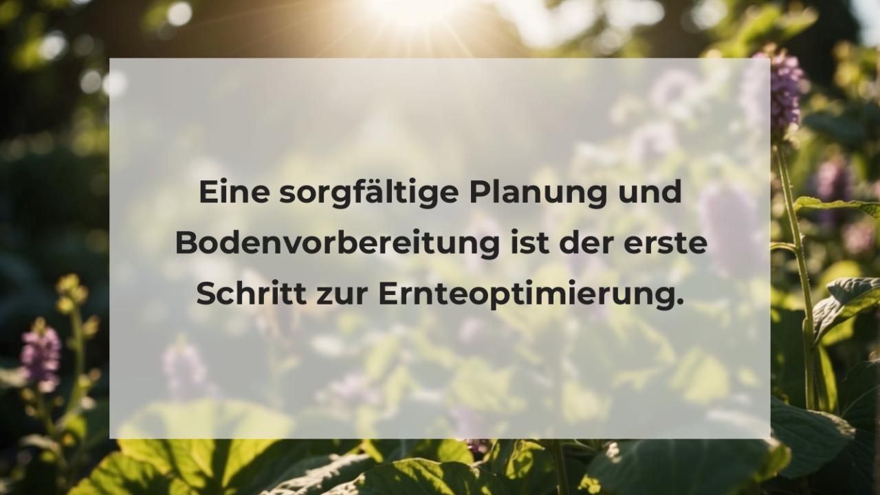 Eine sorgfältige Planung und Bodenvorbereitung ist der erste Schritt zur Ernteoptimierung.